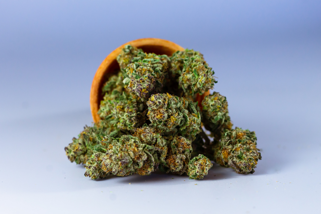 Top THCA Flower Strains for Summer 2025: Fresh Picks for a Chill Season