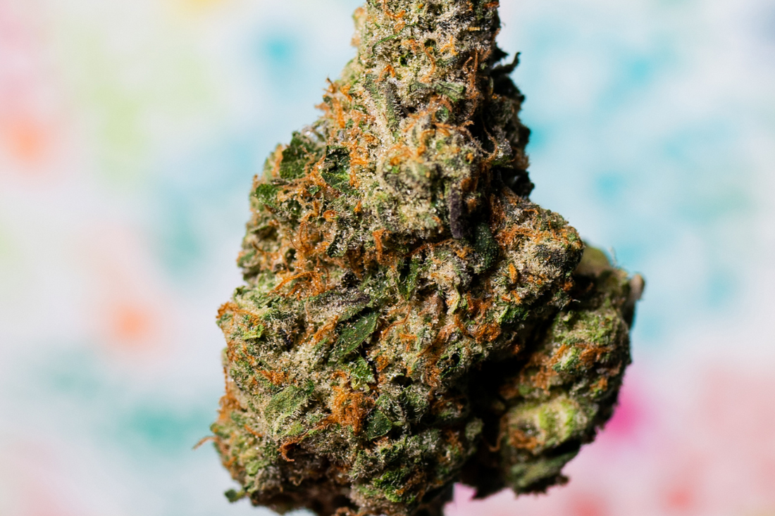How to Choose the Best Cannabis Strain for Your Mood: A Beginner's Guide to THC and THCA