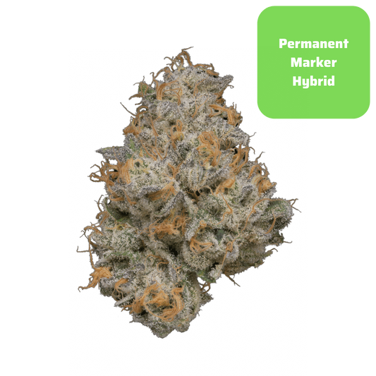 THCa Permanent Marker Smalls
