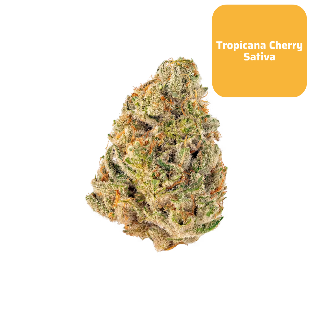 THCa Tropicana Cherry Smalls