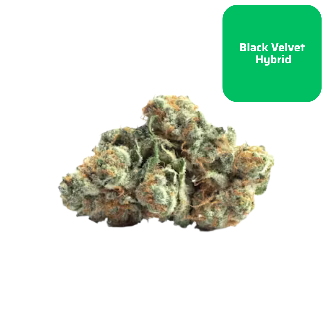 THCa Black Velvet Smalls