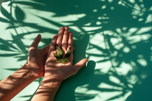 Breaking the Stigma: 5 Misconceptions About Cannabis and Its Consumers