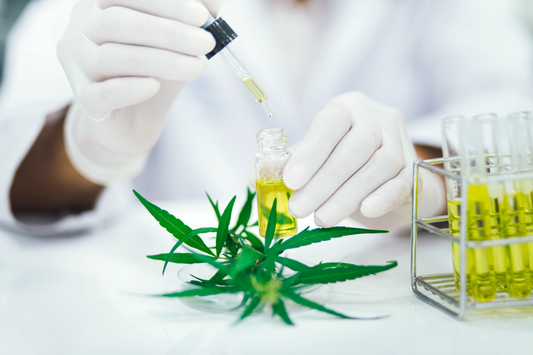 The Chemistry of Cannabis: Cannabinoids 101