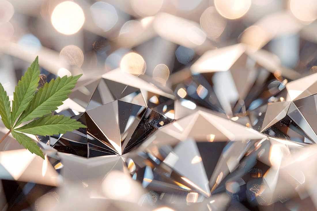 THCA Diamonds: A Connoisseur’s Guide to Cannabis’ Purest Concentrate
