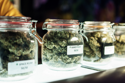 How to Store Your Cannabis Products for Maximum Freshness and Potency