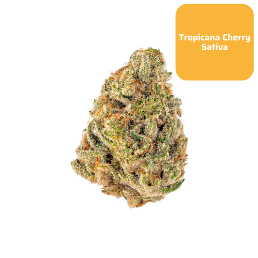 THCa Tropicana Cherry Smalls